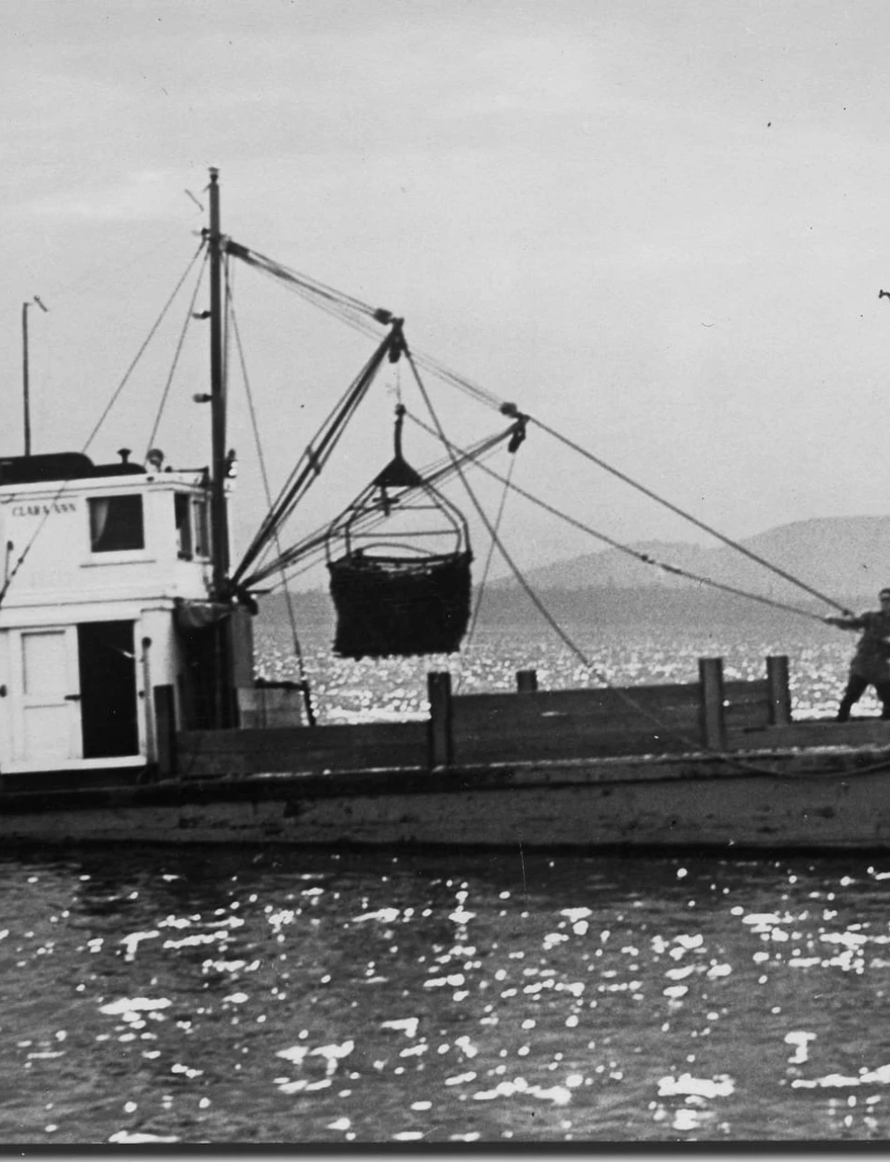 bw boat