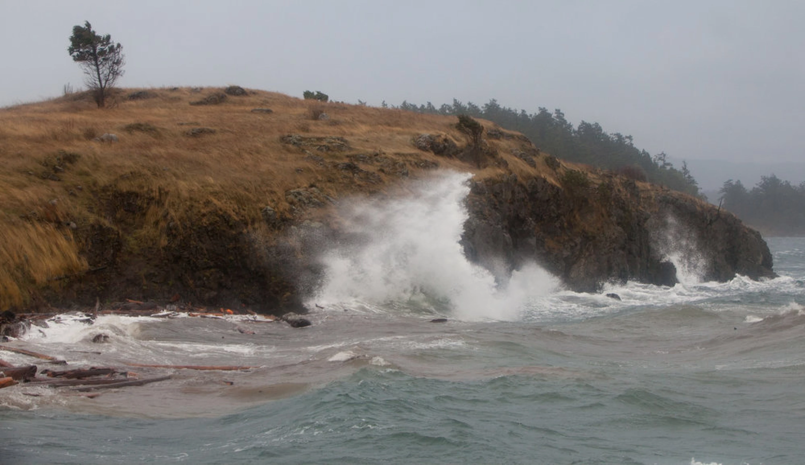 King Tides ITNs