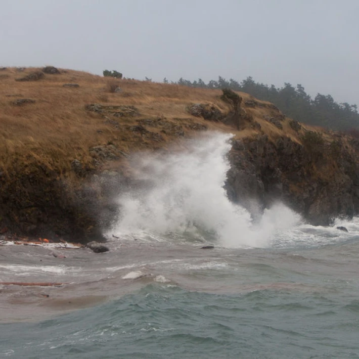 King Tides ITNs