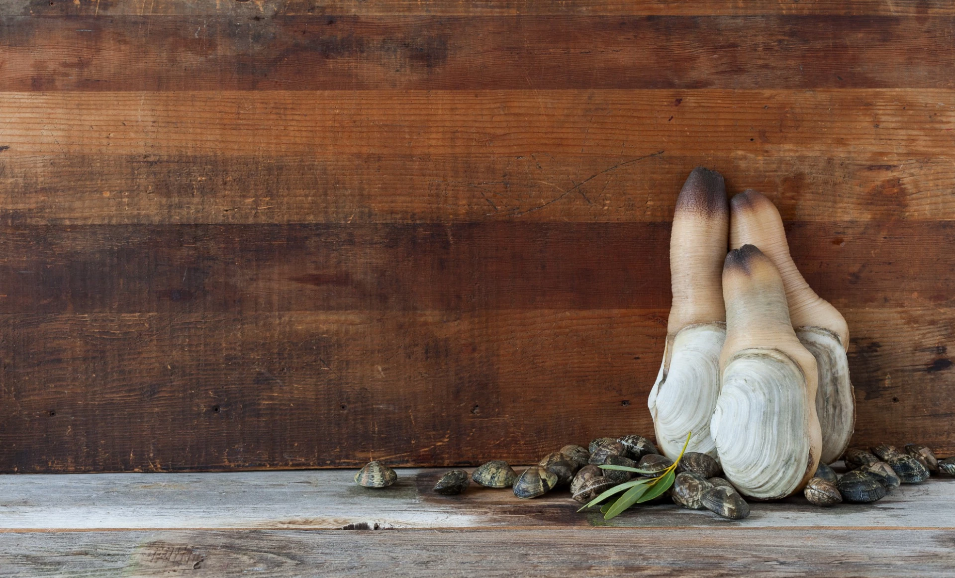 Fresh Geoduck Recipe