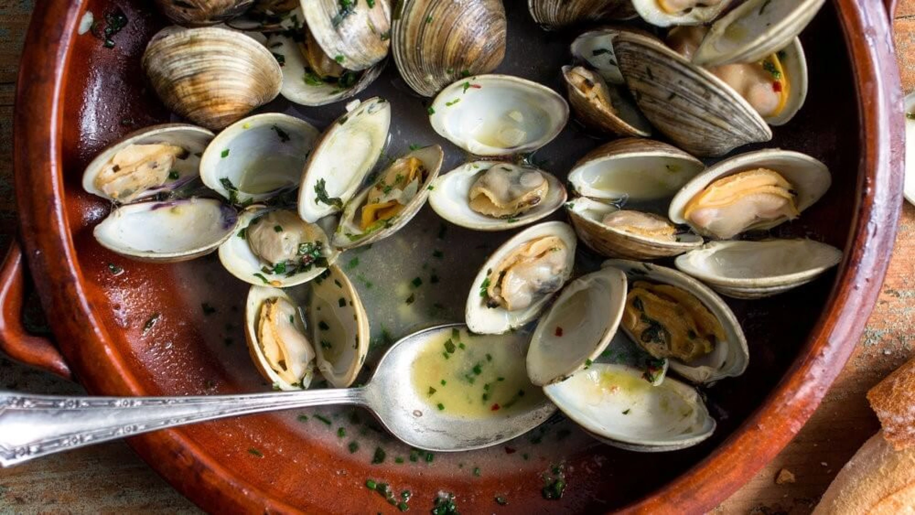 Pilgrim Clams