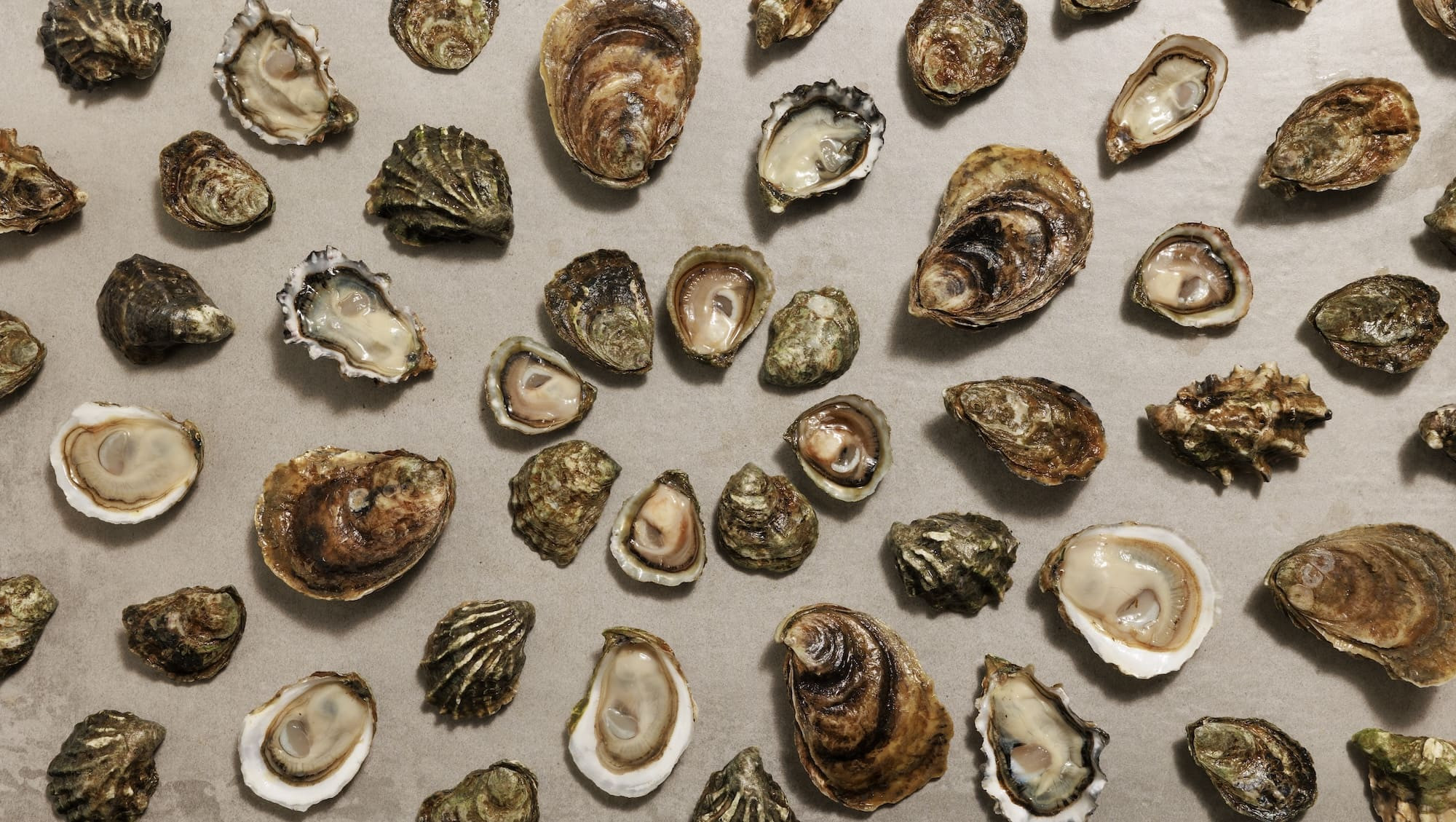 overhead_selection_shucked (2) (1)