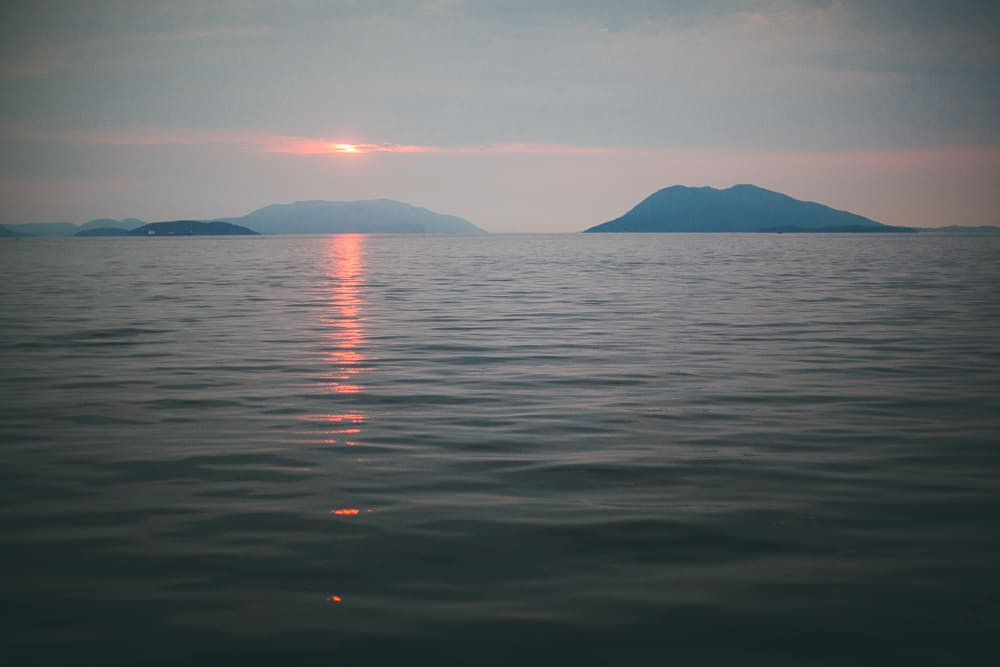©KRISTIAN_MARSON_TaylorShelfish_2014-3519 (1)