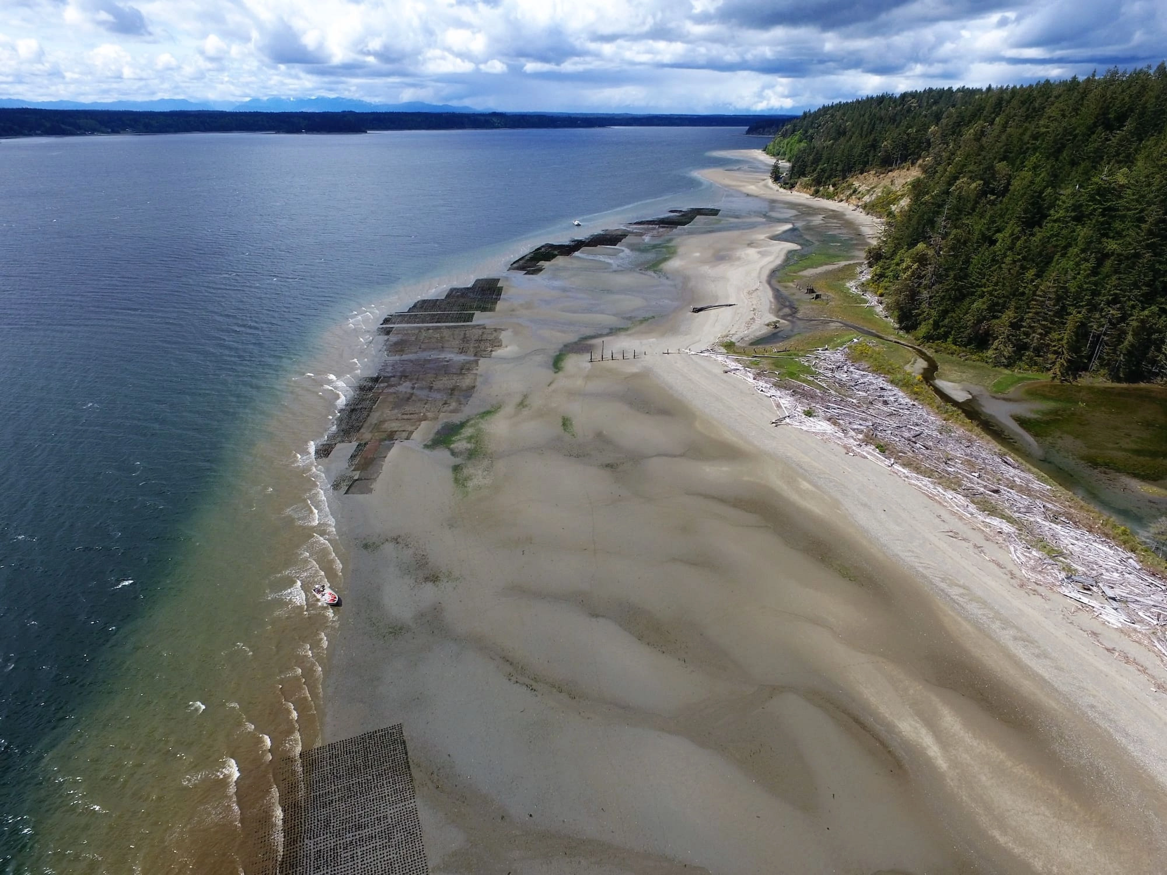 Our Farms | Taylor Shellfish Farms