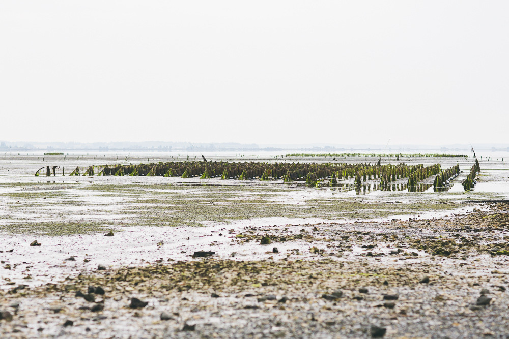 ©KRISTIAN_MARSON_TaylorShelfish_2014-1056