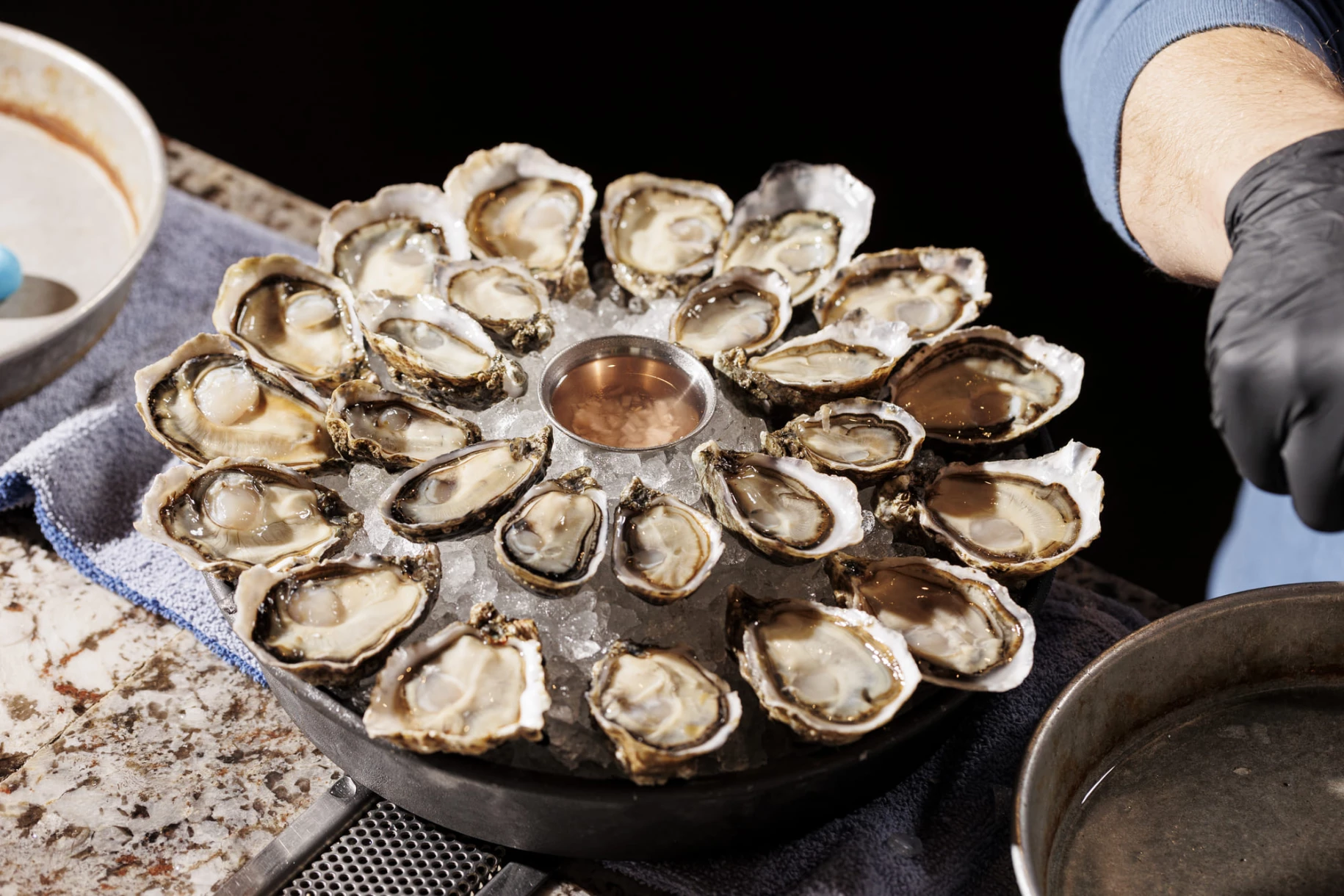 Taylor_PS_Feed_It_Creative010