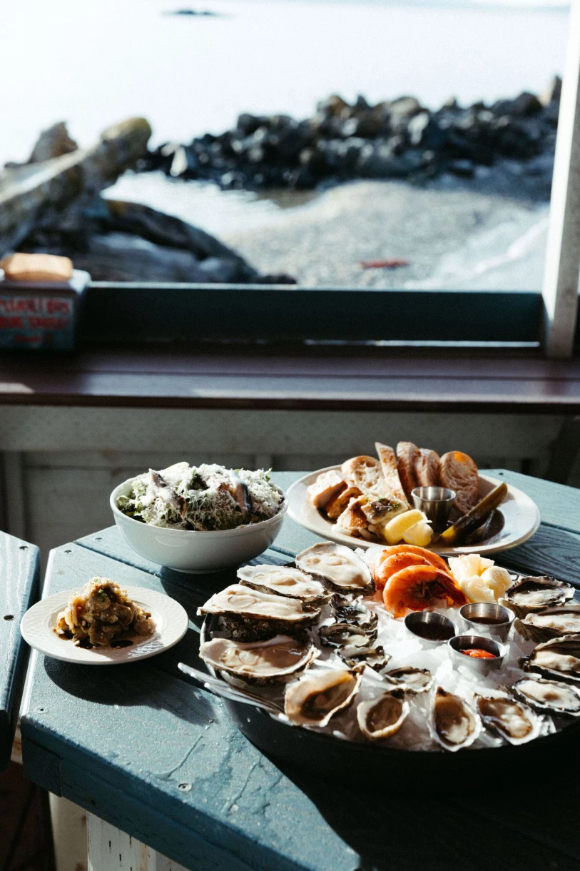 Taylor_X_feedit_creative034