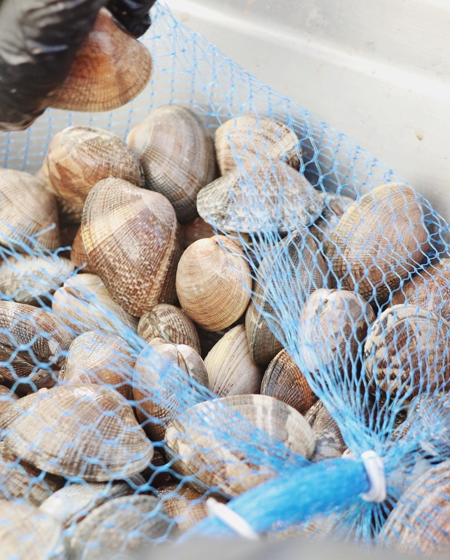 A8F95D39-E13E-4DC4-9B24-335B6F32E8BB (1)