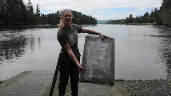 Setting Up Your Shellfish Garden: Oysters