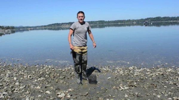 Setting Up Your Shellfish Garden: Geoduck