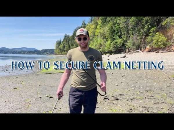 How to Secure Clam Netting