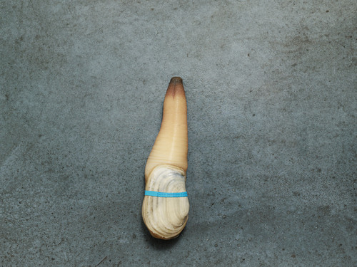 Taylor-studioproduct4791 (1)