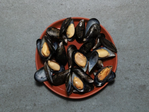 Our Shellfish | Taylor Shellfish Farms