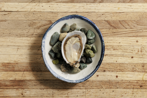 Fat Shellfish Our Shellfish | Taylor Shellfish Farms