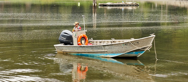 Taylor_Q2_X_FIC114 (edited) (1) (edited) (1)