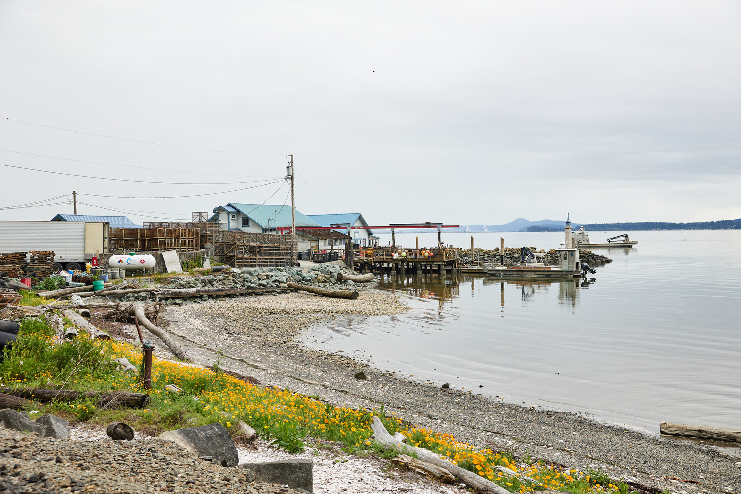 Taylor_Q2_X_FIC118 (2) (1)