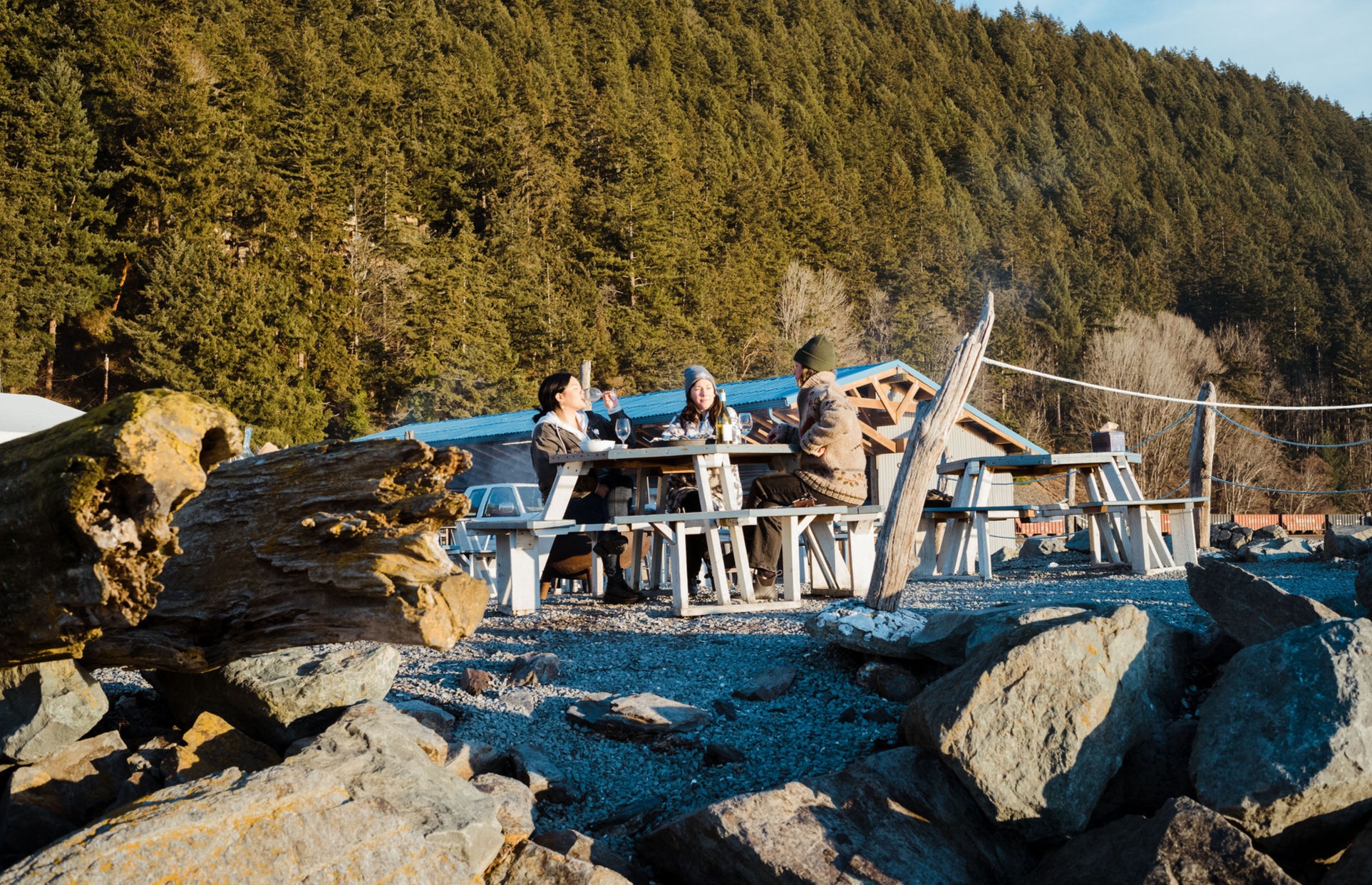 In the Press | Taylor Shellfish Farms