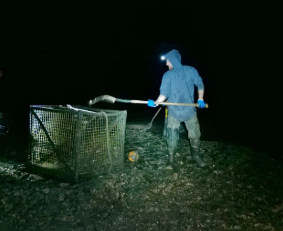 Screenshot 2025-07-29 at 2.18.54 PM