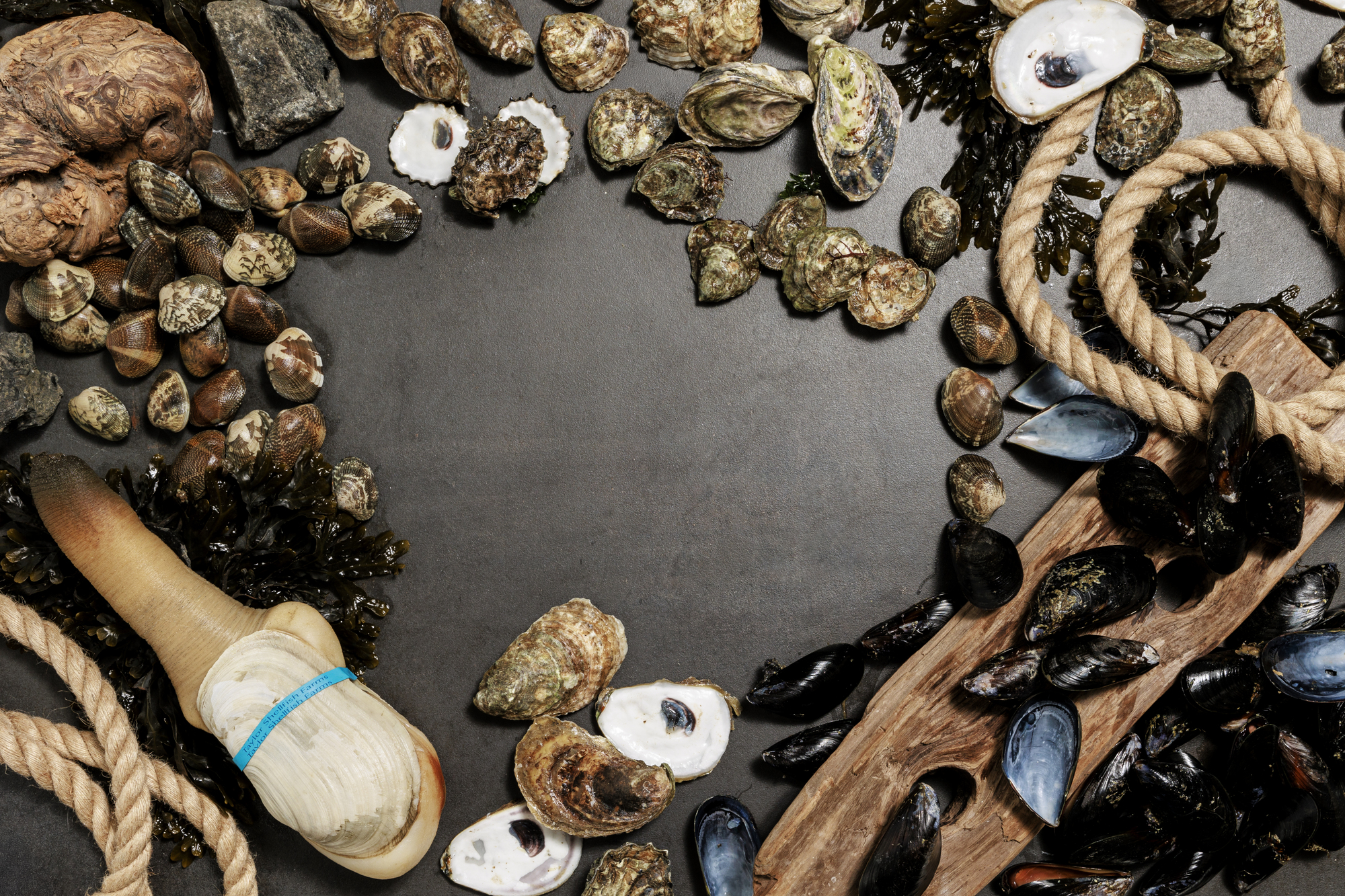 Wholesale | Taylor Shellfish Farms