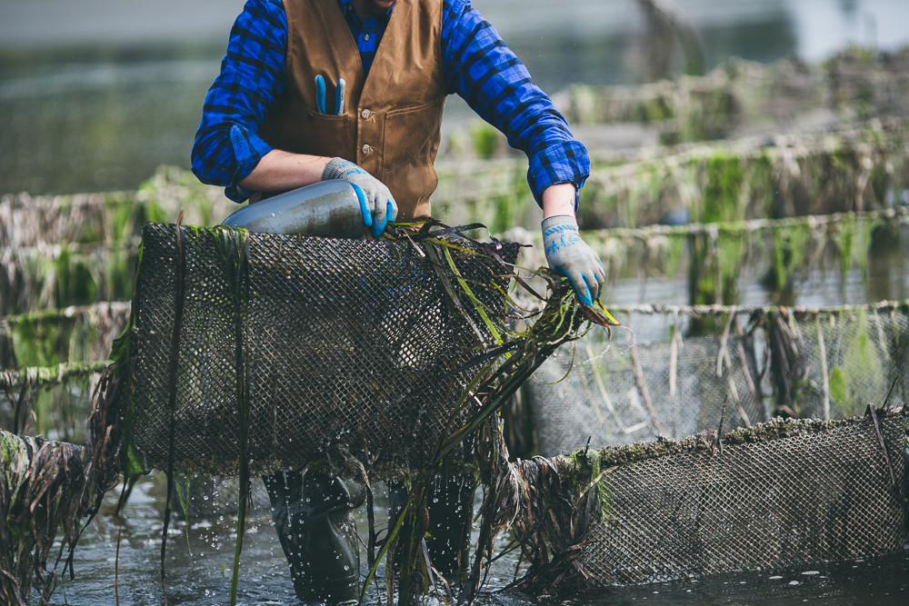 ©KRISTIAN_MARSON_TaylorShelfish_2014-2054