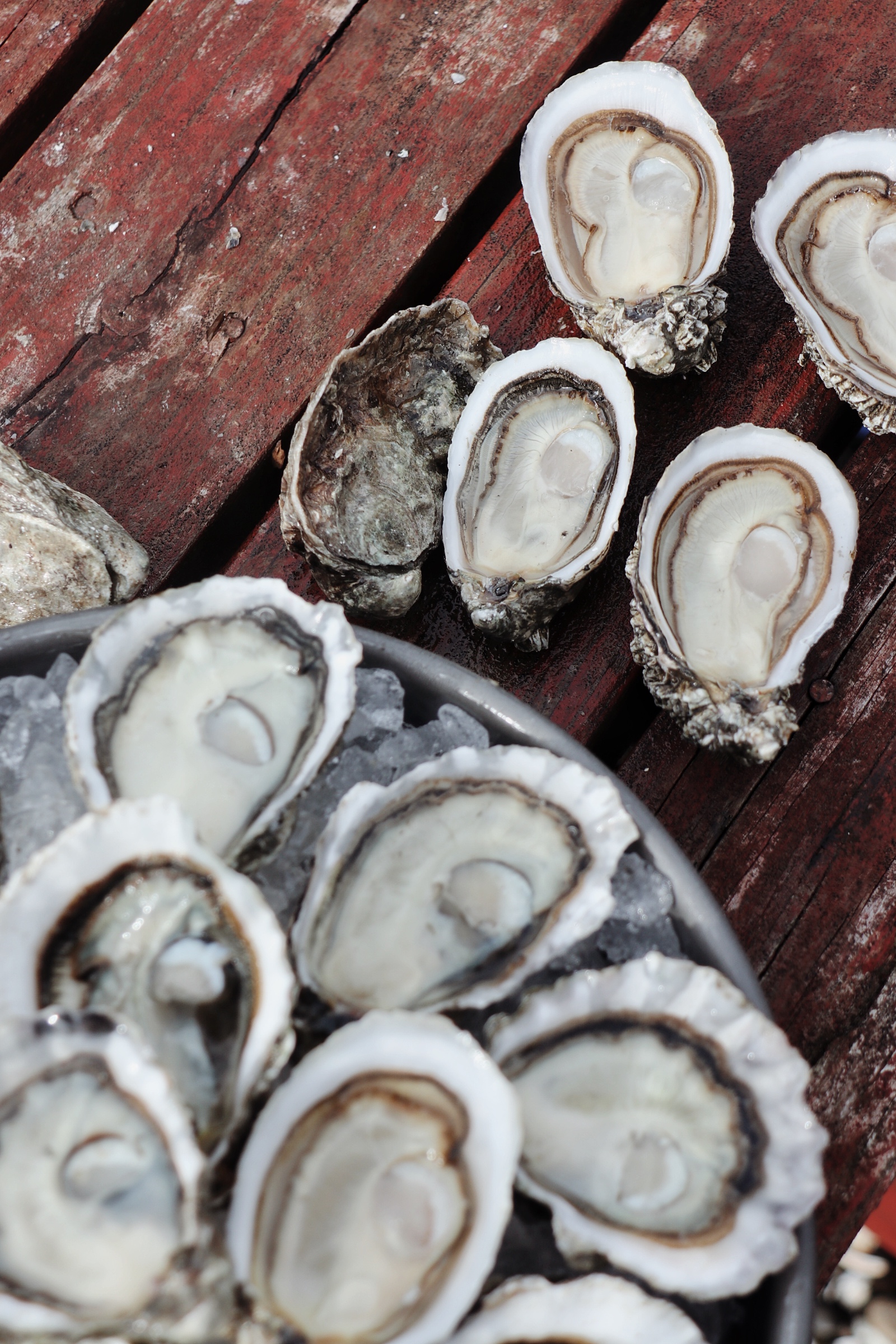 Restaurant or distributor? We have wholesale.