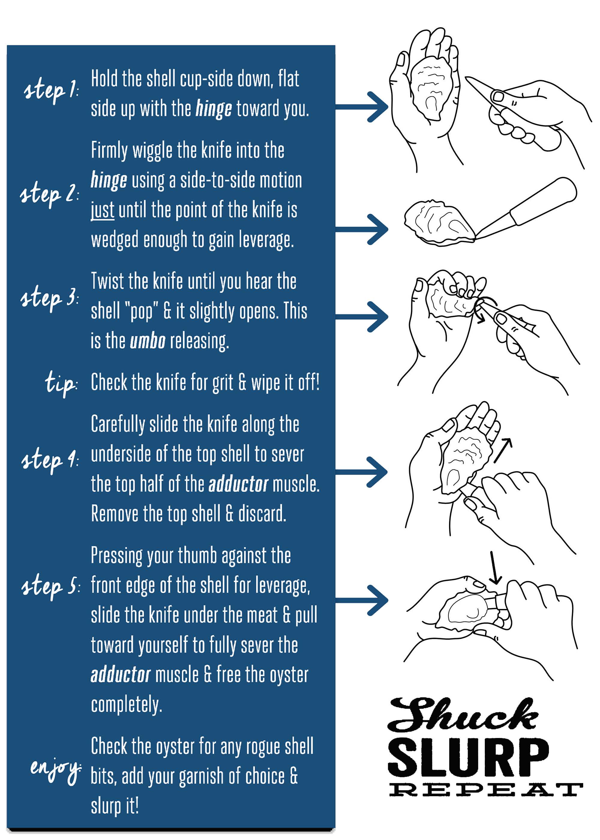 final-draft---shellfish-pamphlet_page_3.jpg